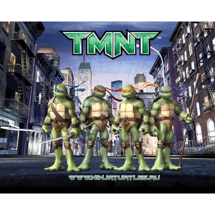 لاک پشتهای نینجا: داستان برادری TMNT