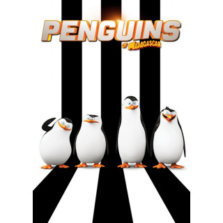 پنگوئنهای ماداگاسکار