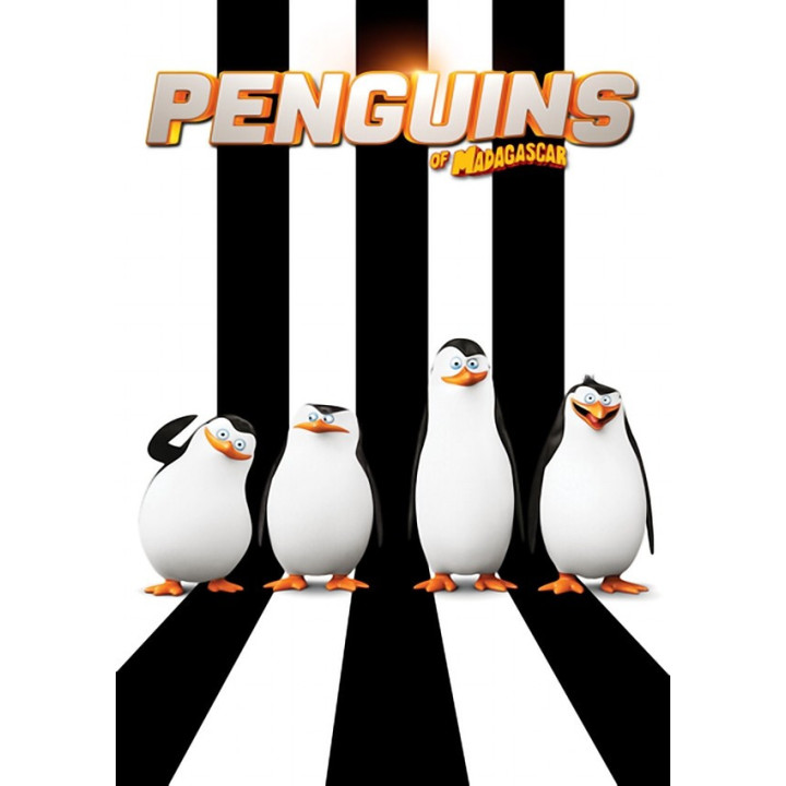 پنگوئنهای ماداگاسکار