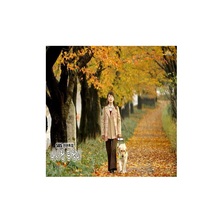 عشق من تورام ، My Love Toram