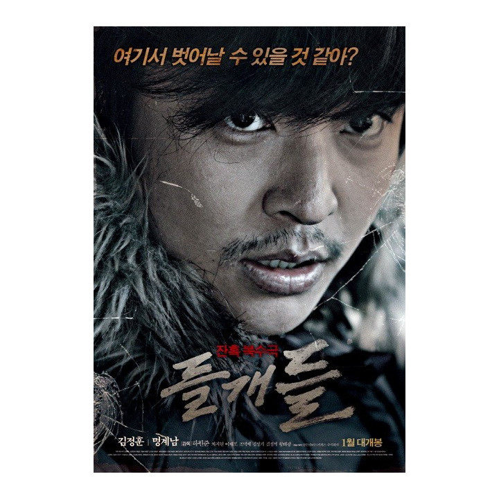 سگ های وحشی