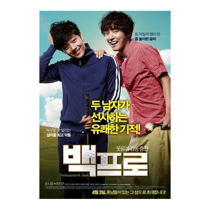 آقای حرفه ای