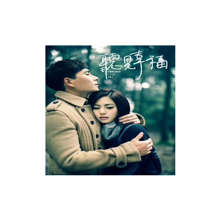 یک نفر مثل تو Someone Like You