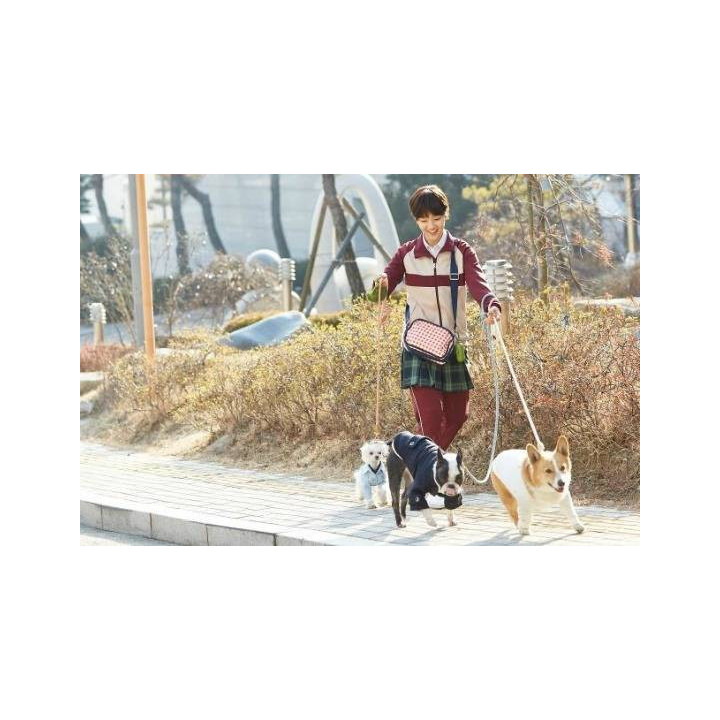 سیندرلا و چهار شوالیه Cinderella and the Four Knights