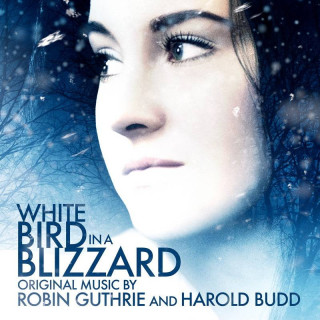پرنده سفید در بوران White Bird in a Blizzard