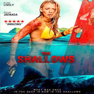آبهای کم عمق The Shallows