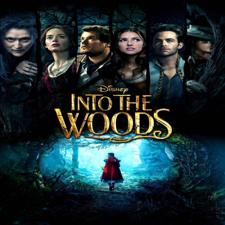 بسوی جنگل Into the Woods