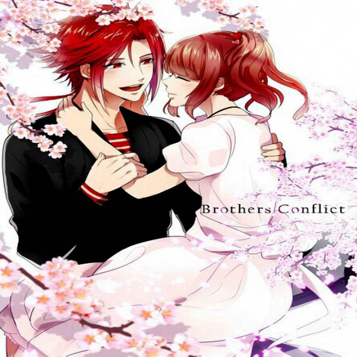 تضاد برادران Brothers Conflict