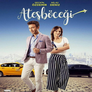 کرم شب تاب Atesbocegi