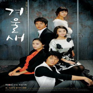 پرنده زمستانی Winter Bird