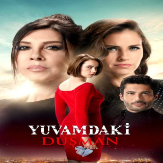 دشمن در خانه ، Yuvamdaki Dusman