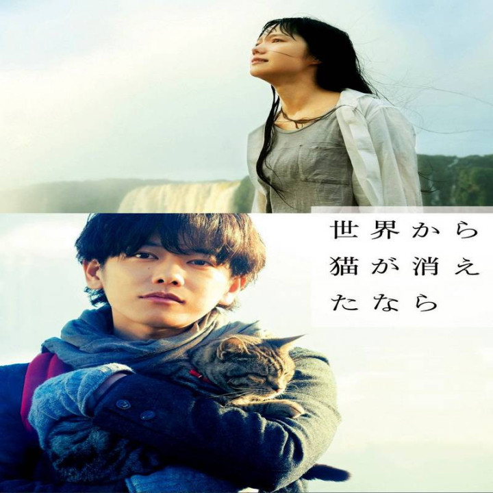 اگر گربه ها از دنیا ناپدید میشدن If Cats Disappeared from the World