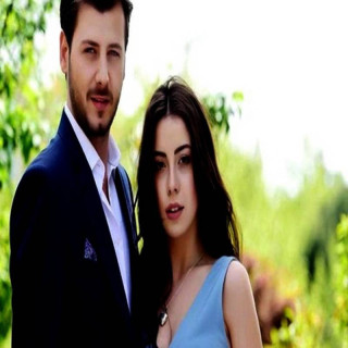 پرنده های بی بال Kanatsız Kuşlar