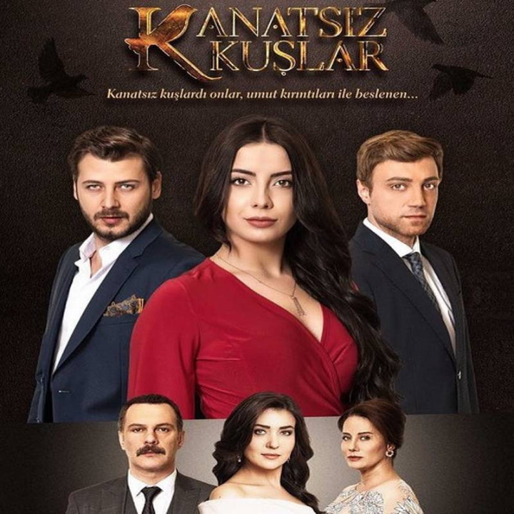 پرنده های بی بال Kanatsız Kuşlar