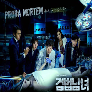 زوج محقق ، Investigation Couple