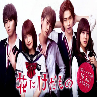 دیو و گل Flower and the Beast