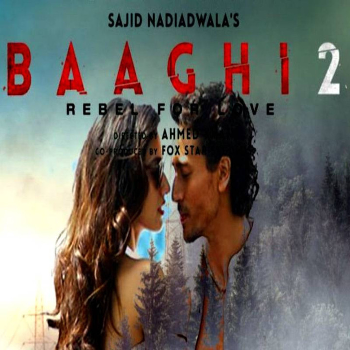 یاغی 2 Baaghi 2