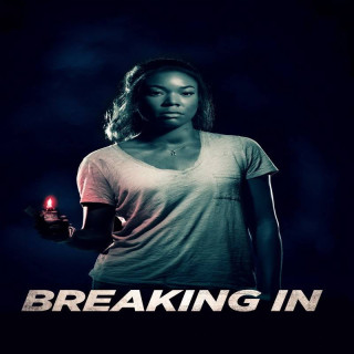 ورود غیر مجاز Breaking In