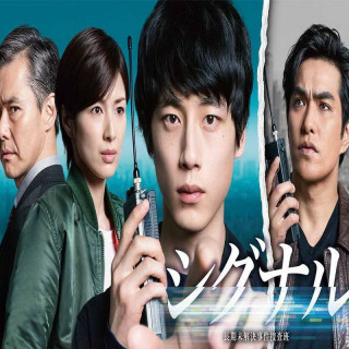 سیگنال تیم تحقیق