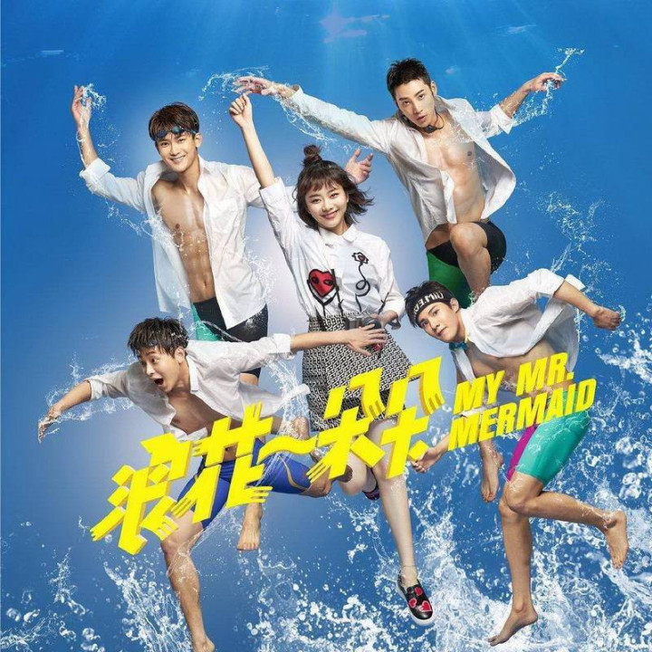 آقای پری دریایی من