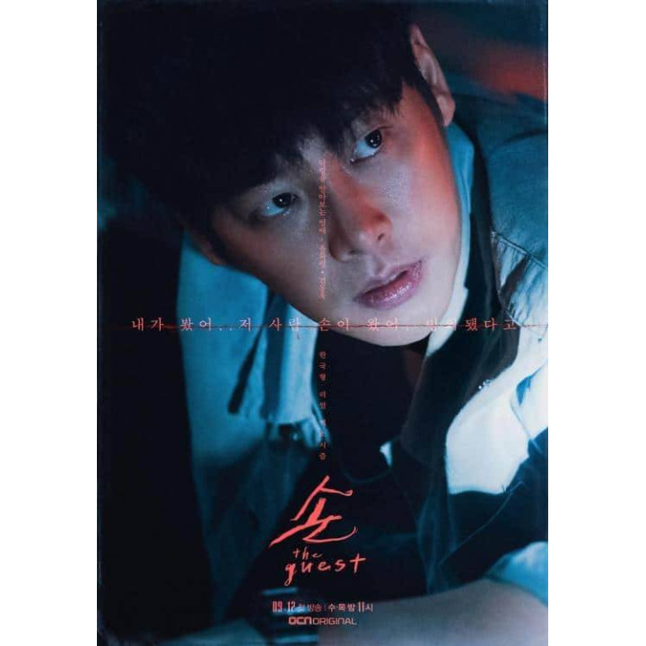 مهمان The Guest