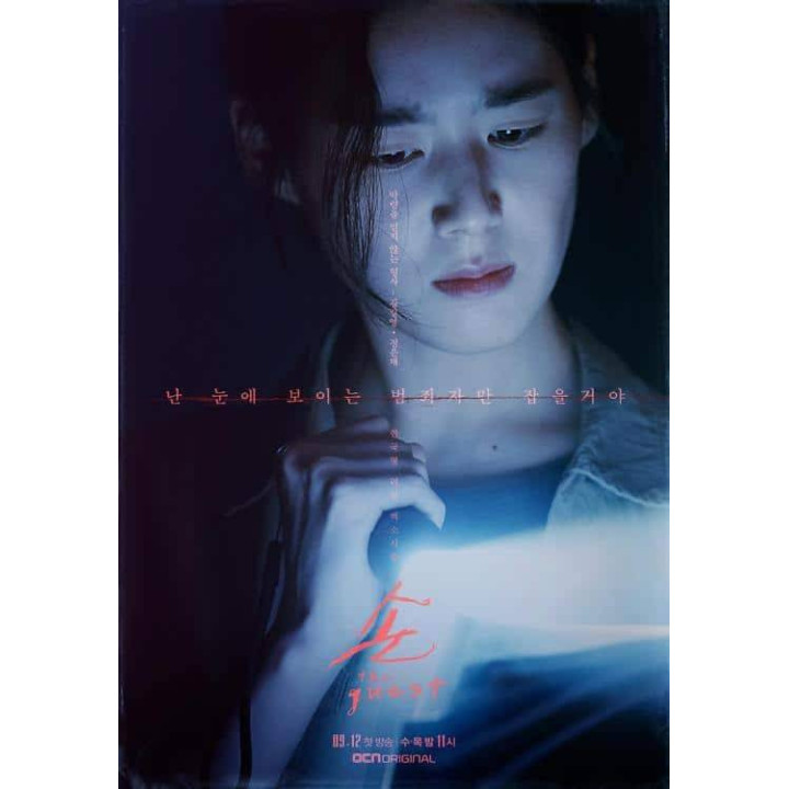 مهمان The Guest