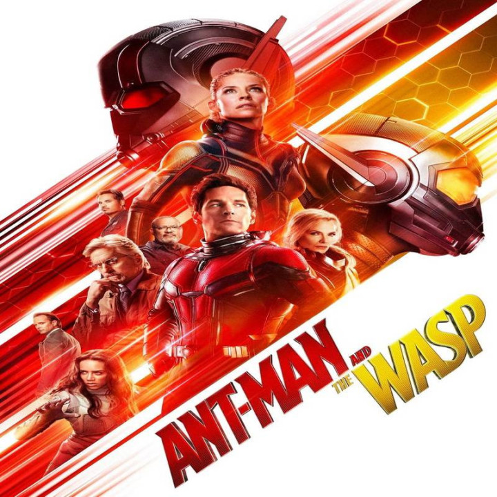 مرد مورچه ای و زنبورک Ant-Man and the Wasp