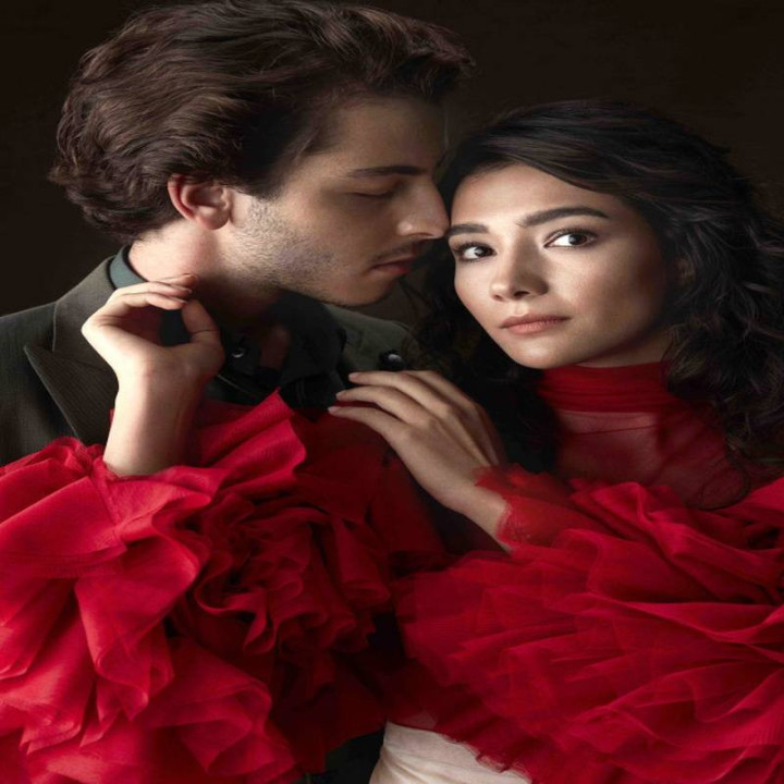 تپه شاهین Şahin Tepesi