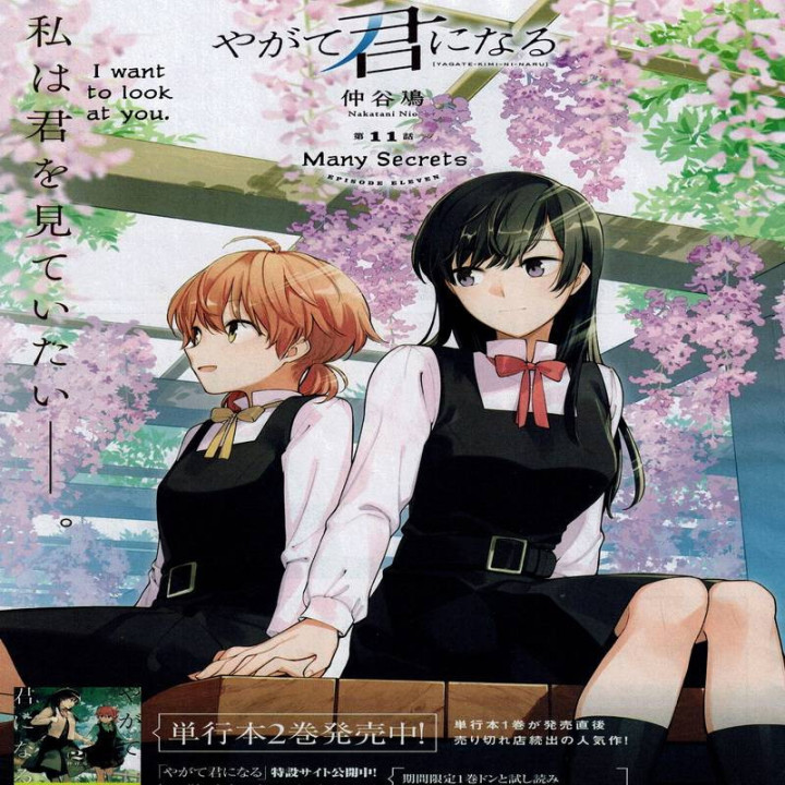 شکوفه به تو Yagate Kimi ni Naru