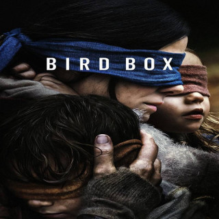 جعبه پرنده Bird Box