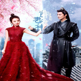 آشپز سیندرلا Cinderella Chef