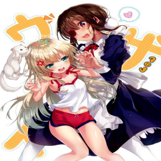 خدمتکار خسته