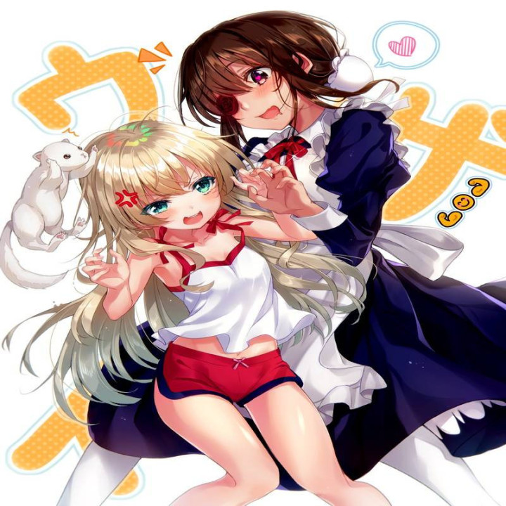 خدمتکار خسته