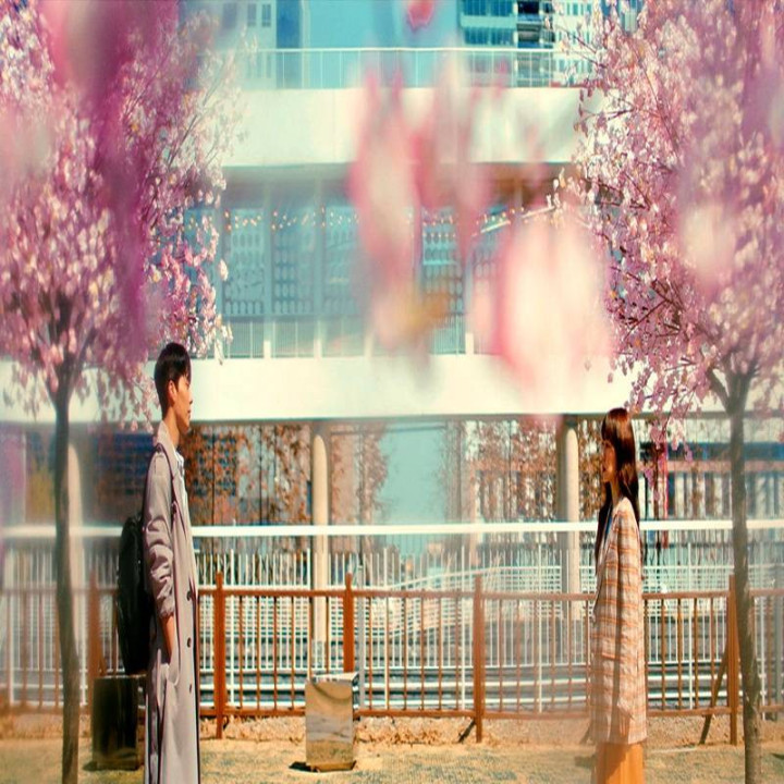 جستجو کن Search: WWW